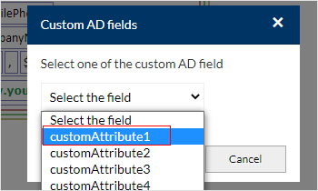 Select the custom attribute fields
